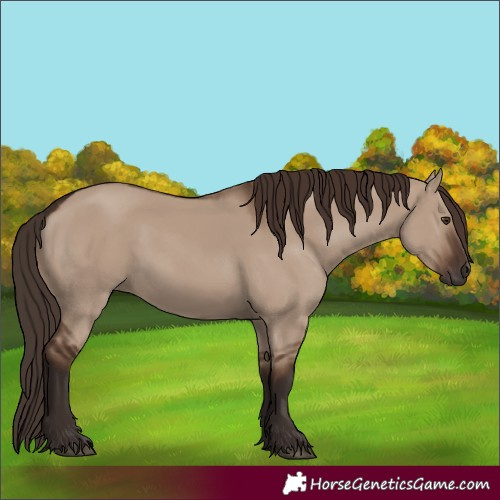 Horse Color:Liver Red Dun Rabicano