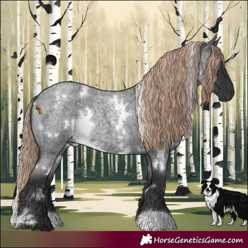 Horse Color:White Spotted Liver Red Roan 