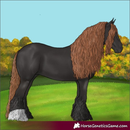 Horse Color:Liver Chestnut 