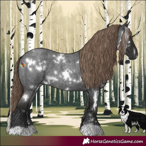 Horse Color:White Spotted Liver Red Roan 