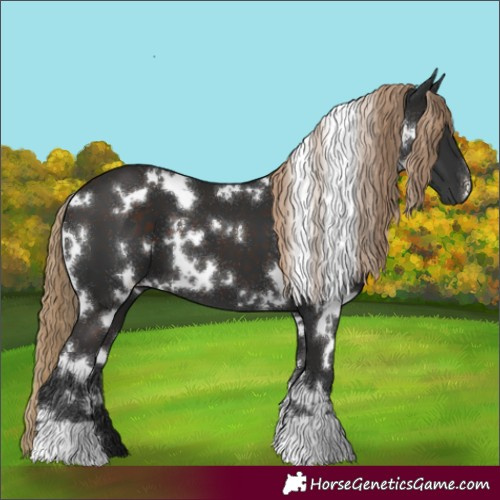 Horse Color:White Spotted Liver Chestnut