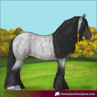 Horse Color:Brown Roan