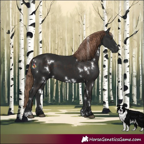 Horse Color:White Spotted Liver Chestnut 