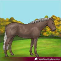 Horse Color:Silver Black 