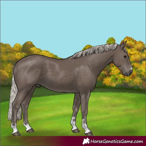 Horse Color:Silver Black 