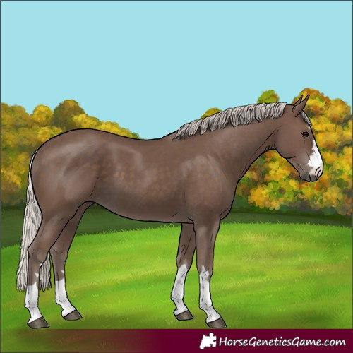 Horse Color:Silver Black 