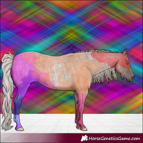 Horse Color:Silver Grullo Roan 