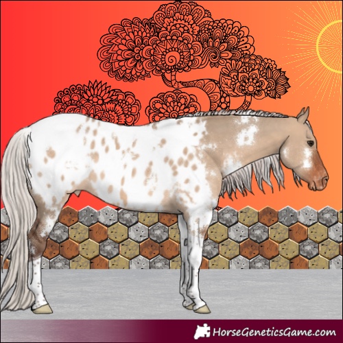 Horse Color:White Spotted Silver Brown Dun Tobiano Near Leopard 