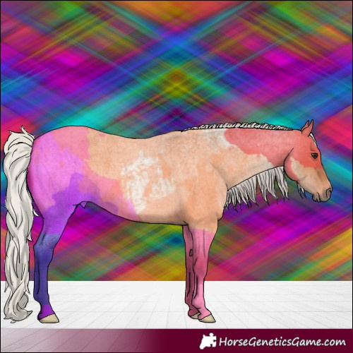 Horse Color:Silver Brown Roan Dun 