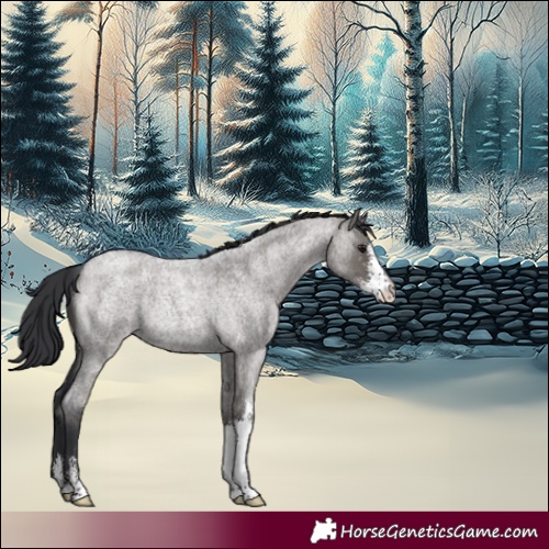 Horse Color:Grullo Roan Sabino Rabicano 