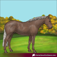 Horse Color:Silver Black 