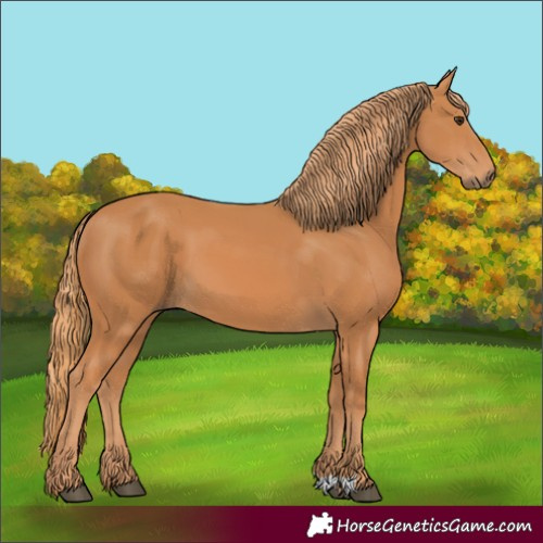 Horse Color:Chestnut 