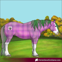 Horse Color:Watercolor Plaid  Bay Splash 