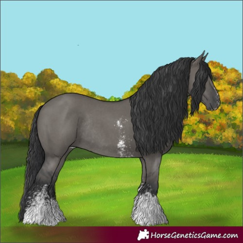 Horse Color:Grullo Sabino Rabicano 