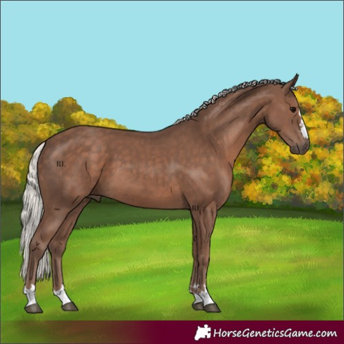 Horse Color:Silver Black