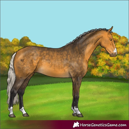 Horse Color:Silver Buckskin