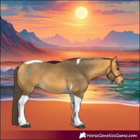 Horse Color:Buckskin Tobiano