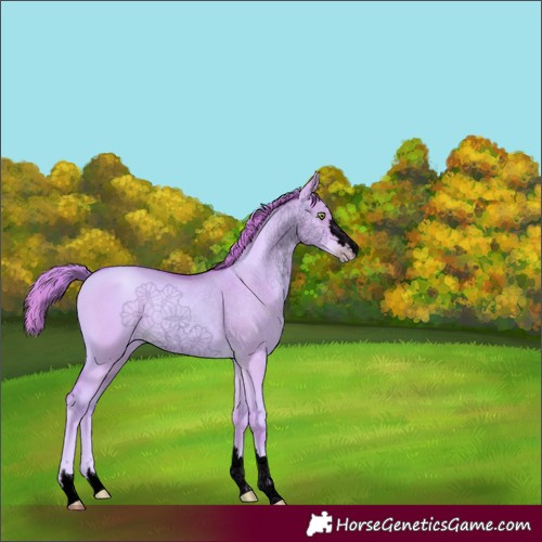 Horse Color:Void Watercolor Gold Champagne Dun 