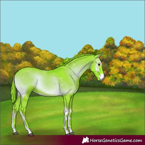Horse Color:Watercolor Liver Red Onyx 