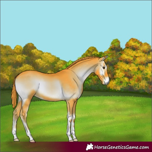 Horse Color:Watercolor Liver Red Onyx 