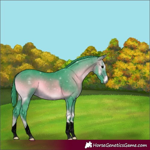 Horse Color:Void Watercolor Bay Onyx 