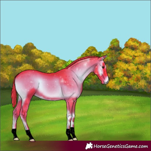 Horse Color:Void Watercolor Liver Red Onyx 