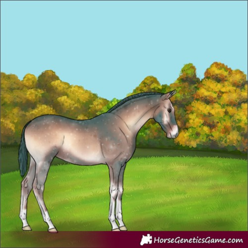 Horse Color:Watercolor Liver Red Onyx 