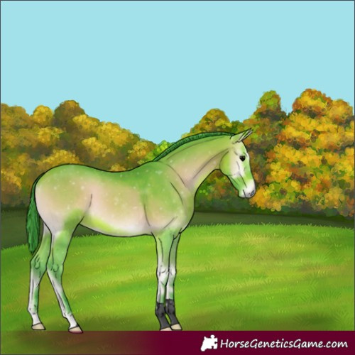 Horse Color:Void Watercolor Bay Onyx 