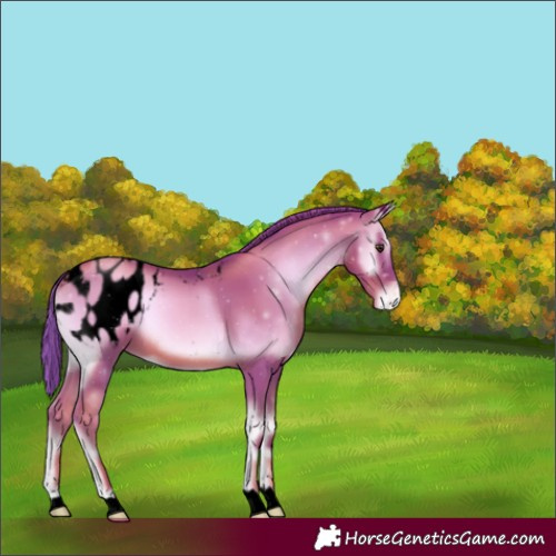 Horse Color:Void Watercolor Gold Champagne Onyx Blanket 
