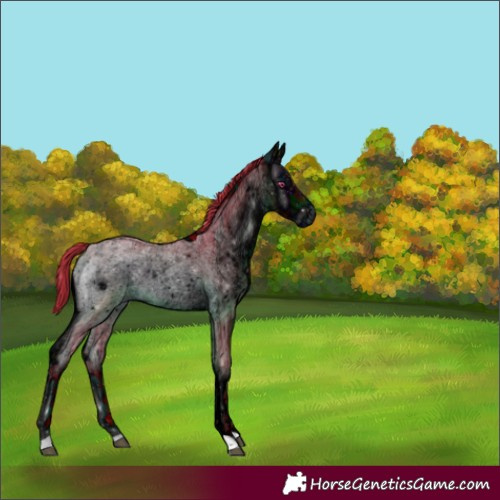 Horse Color:ERROR: UNKNOWN ANOMALY