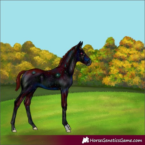 Horse Color:ERROR: UNKNOWN ANOMALY