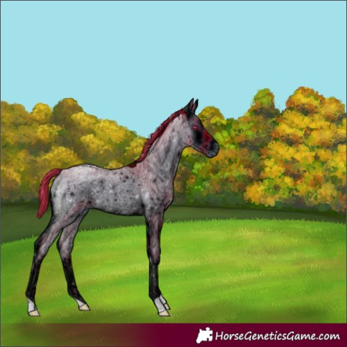 Horse Color:ERROR: UNKNOWN ANOMALY
