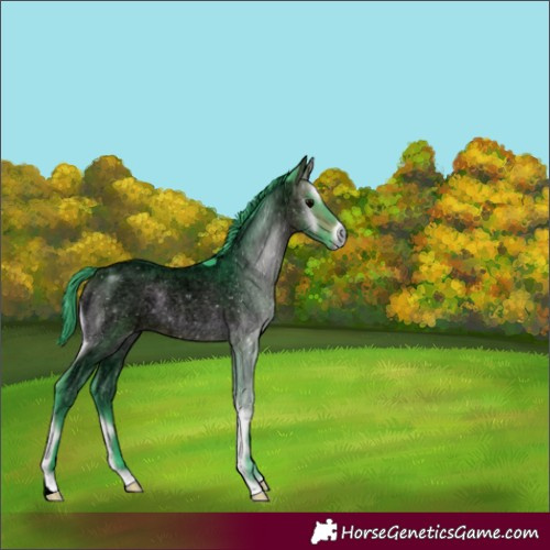 Horse Color:Void Watercolor Bay Roan Onyx 