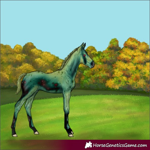 Horse Color:ERROR: UNKNOWN ANOMALY