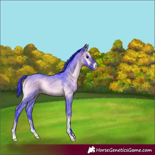 Horse Color:Watercolor Bay Roan Onyx 