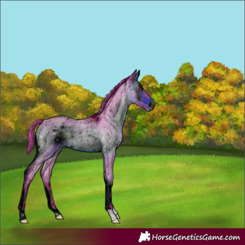 Horse Color:ERROR: UNKNOWN ANOMALY