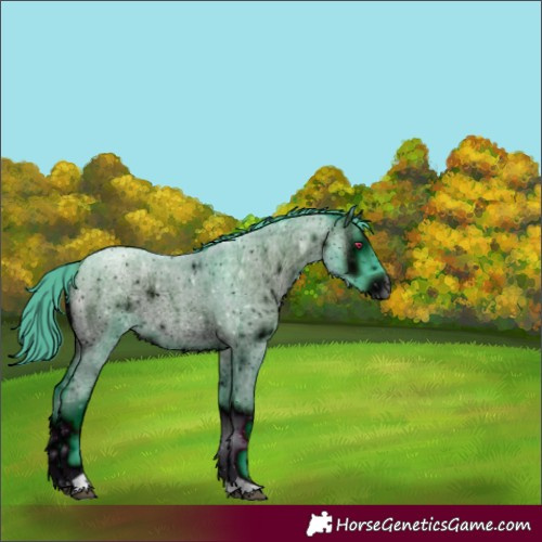 Horse Color:ERROR: UNKNOWN ANOMALY