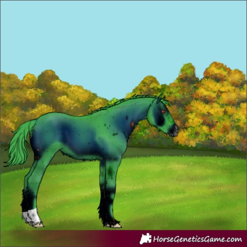 Horse Color:ERROR: UNKNOWN ANOMALY