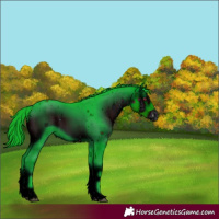 Horse Color:ERROR: UNKNOWN ANOMALY