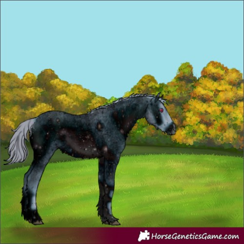 Horse Color:ERROR: UNKNOWN ANOMALY