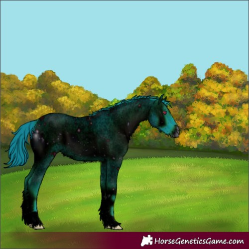 Horse Color:ERROR: UNKNOWN ANOMALY