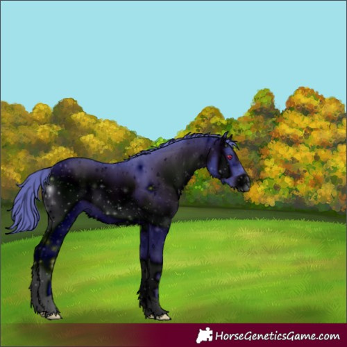 Horse Color:ERROR: UNKNOWN ANOMALY