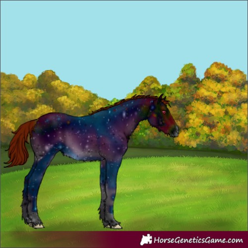 Horse Color:ERROR: UNKNOWN ANOMALY