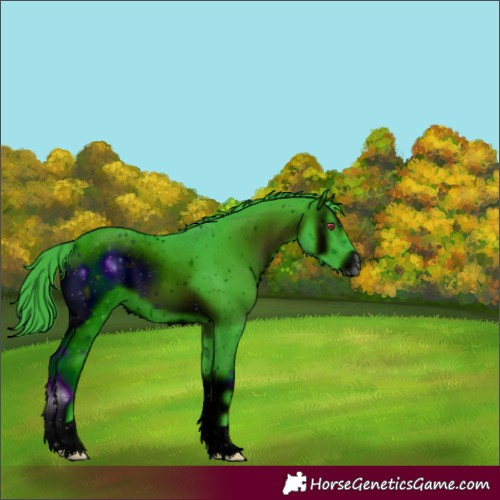 Horse Color:ERROR: UNKNOWN ANOMALY