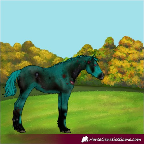 Horse Color:ERROR: UNKNOWN ANOMALY
