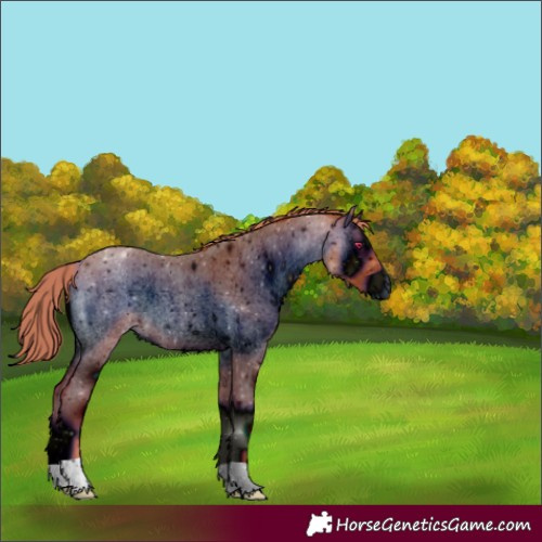 Horse Color:ERROR: UNKNOWN ANOMALY