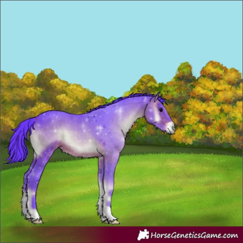 Horse Color:Watercolor Brown Onyx 