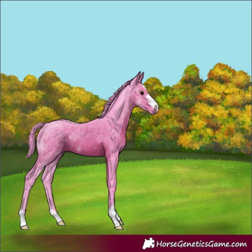 Horse Color:Watercolor Brown 