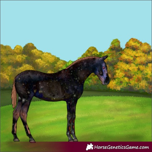 Horse Color:ERROR: UNKNOWN ANOMALY