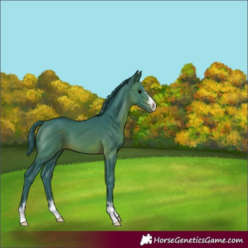 Horse Color:Watercolor Brown 